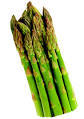Image result for Asparagus