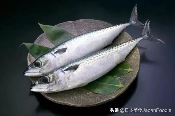 6park Com 你认识多少日本料理中常用的鱼