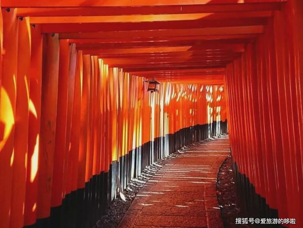 6park Com 落日 灯火 鸟居 日本这十处神社 随手一拍都是ins大片 6park Com 落日 灯火 鸟居 日本这十处神社 随手一拍都是ins大片