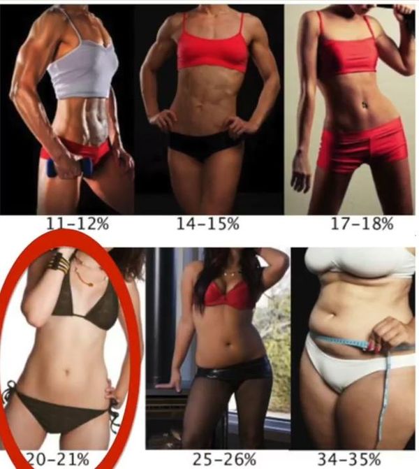 代 率 脂肪 女性 40 体 女性の平均体脂肪率・体重・BMIを年齢別にチェック 肥満の定義とは？
