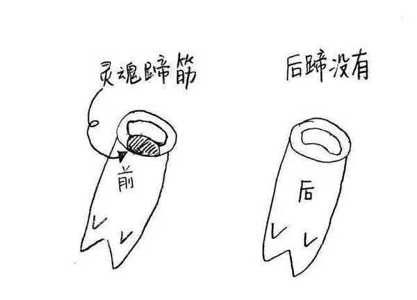 6park Com 你吃的猪蹄是前蹄还是后蹄 最简单的区分方法竟然是