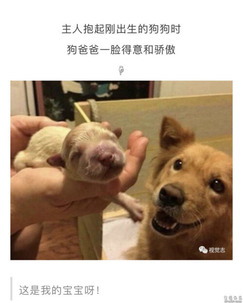 6park Com 远行背包客拍摄下来的跨物种人间真爱 6park Com 远行背包客拍摄下来的跨物种人间真爱